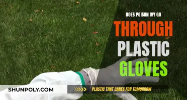 Poison Ivy Protection: Plastic Gloves, Safe or Not?