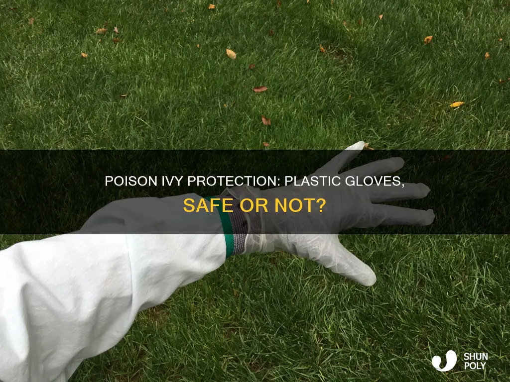does poison ivy go through plastic gloves