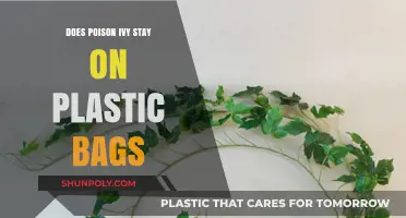 Can Poison Ivy Contaminate Plastic Bags? Facts and Safety Tips