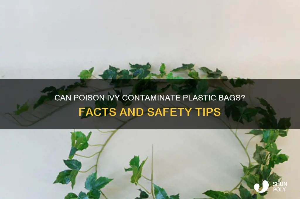 does poison ivy stay on plastic bags