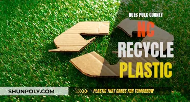 Recycling in Polk County: Plastic Waste Management