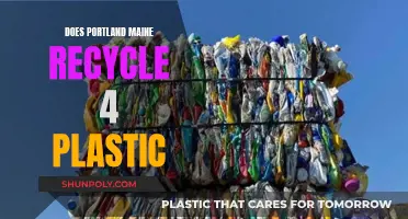 Portland's Plastic Recycling: A Green Revolution or a Misstep?