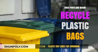 Portland, Maine's Plastic Bag Recycling: What You Need to Know