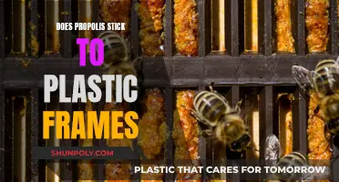 Propolis and Plastic Frames: A Sticky Situation?