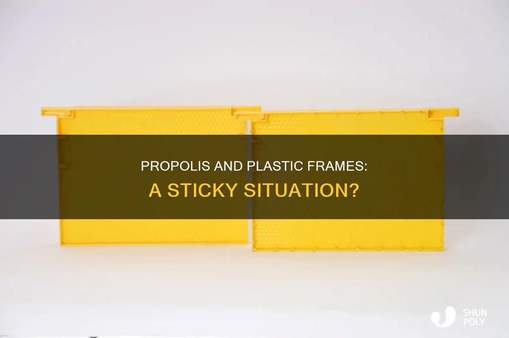 does propolis stick to plastic frames