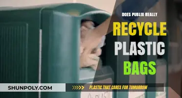 Does Publix Recycle Plastic Bags? Uncovering the Truth Behind Their Sustainability Efforts