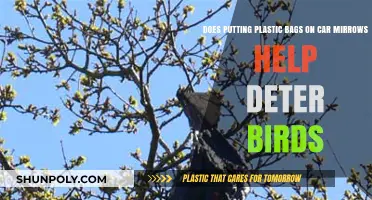 Plastic Bags on Car Mirrors: Effective Bird Deterrent or Myth?