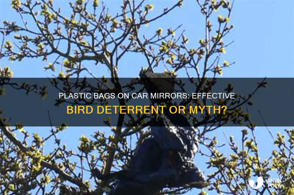 does putting plastic bags on car mirrows help deter birds