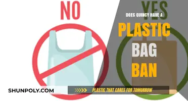 Quincy's Plastic Bag Ban: What You Need to Know