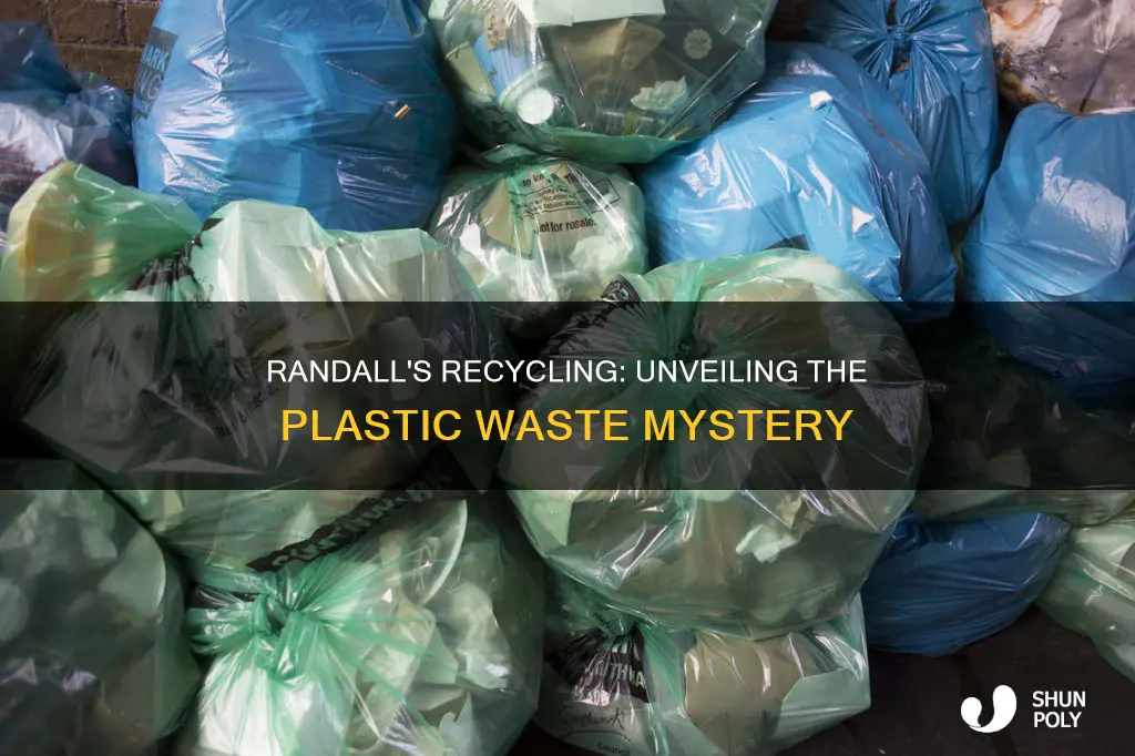 does randalls recycle plastic