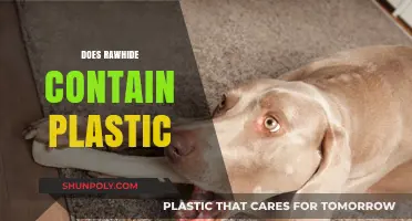 The Truth About Rawhide and Plastic