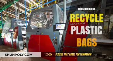 Does Recology Recycle Plastic Bags? Uncovering San Francisco's Waste Policies