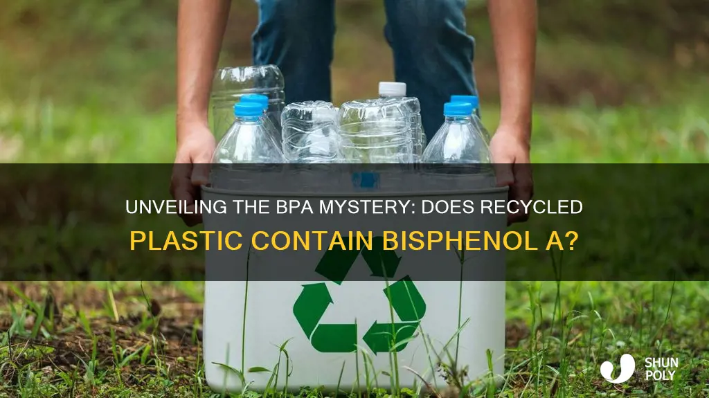 does recycled plastic contain bpa