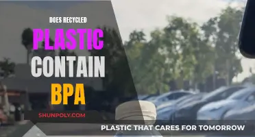 Recycled Plastic: BPA-Free or Not?