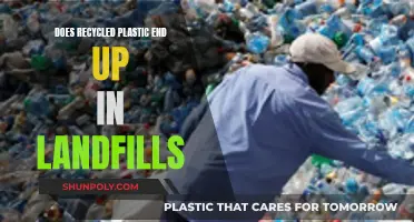 The Surprising Journey of Recycled Plastic: Landfill or New Life?