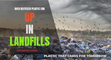Recycled Plastic: Landfill's End?