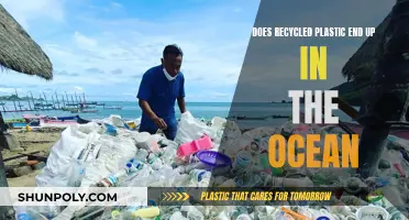 Ocean's Plastic Crisis: The Recycled Truth