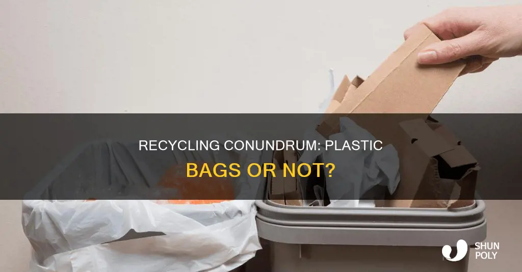 does recycling need to be put in plastic trashbag