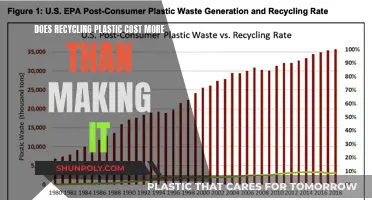 Recycling Plastic: A Costly Endeavor or Sustainable Investment?