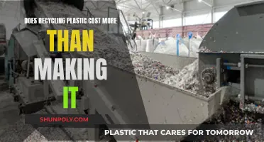 The High Cost of Recycling Plastic: Is It Worth It?
