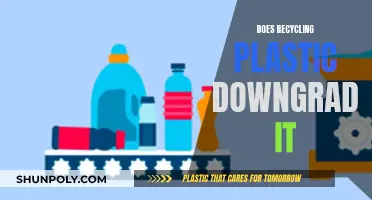 Recycling Plastic: Does It Downgrade Quality?
