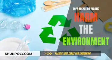 Recycling Plastic: Environmental Friend or Foe?