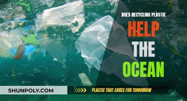 Recycling Plastic: A Drop in the Ocean or a Powerful Wave?