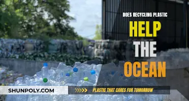 How Recycling Plastics Can Save Our Oceans