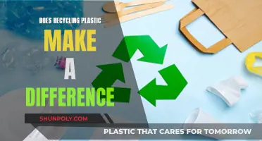 Recycling Plastic: Uncovering the Impact and Potential