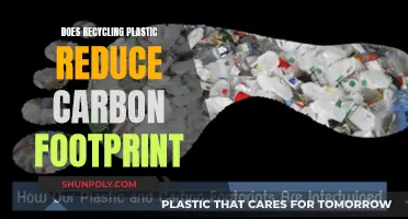 Recycling Plastic: A Green Revolution or a Misguided Effort?