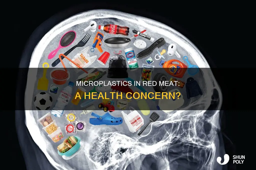 does red meat contain micro plastics