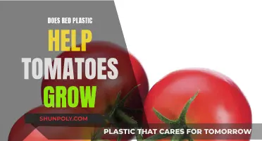 Red Plastic: Supercharging Tomato Growth