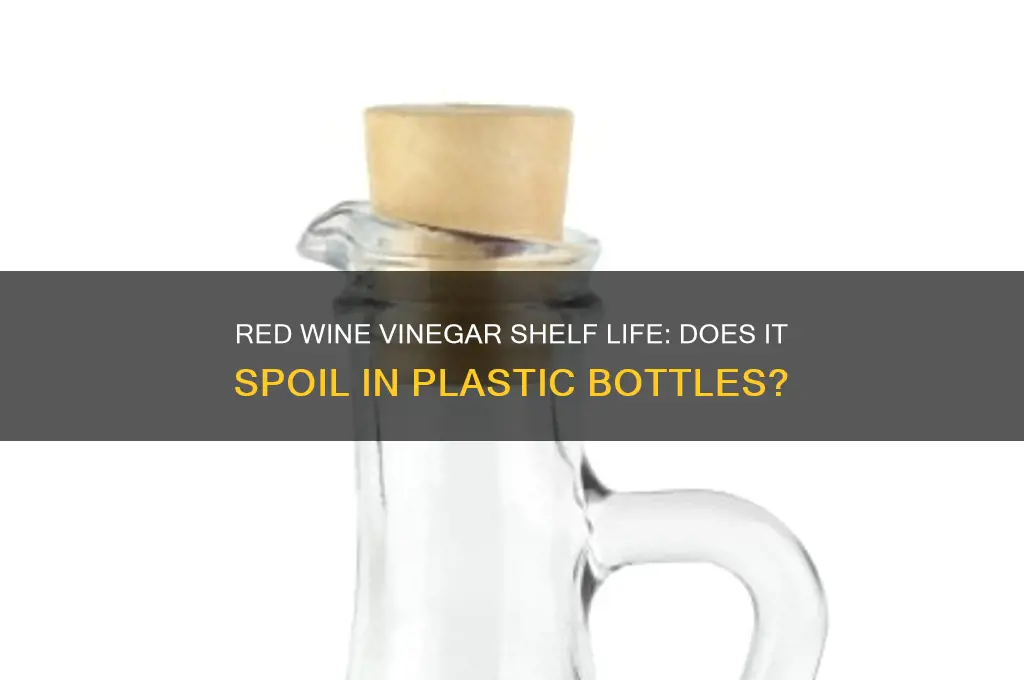 does red wine vinegar go bad in a plastic bottle