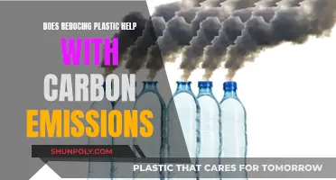 Reducing Plastic: A Step Towards Carbon Neutrality