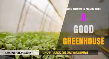 Reinforced Plastic Greenhouses: Durable, Efficient, or Overrated for Gardening?