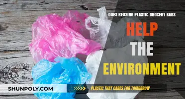 Reusing Plastic Grocery Bags: Eco-Friendly Solution or Environmental Myth?