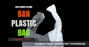 Rhode Island's Plastic Bag Ban: What You Need to Know
