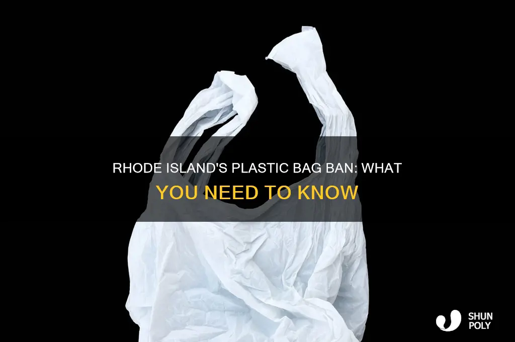 does rhode island ban plastic bag