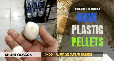 Is Chinese Rice Plastic?