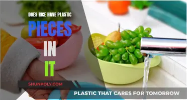 Plastic Rice: Is It Real?
