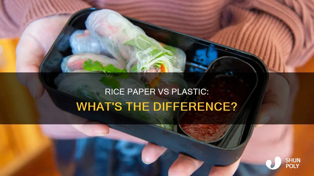 does rice paper look like plastic