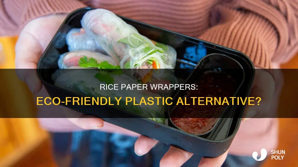 does rice paper wrappers fill plastic