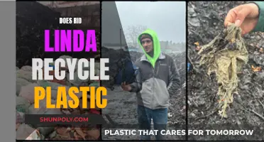 Recycling Efforts: Does Rio Linda Recycle Plastic?