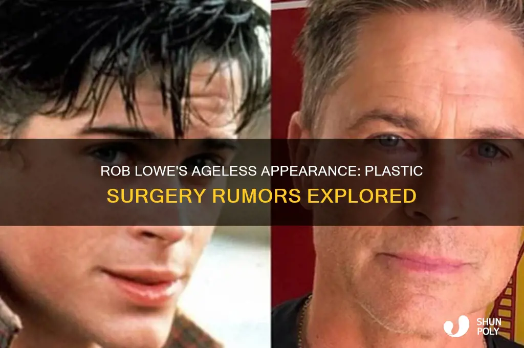 does rob lowe have plastic surgery