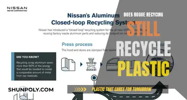 Rogue Recycling: Unveiling the Truth Behind Plastic Waste