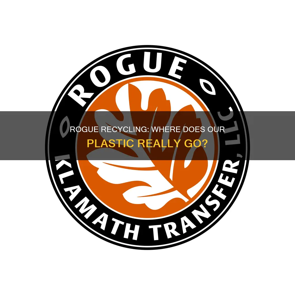 does rogue recycing still recycle plastic