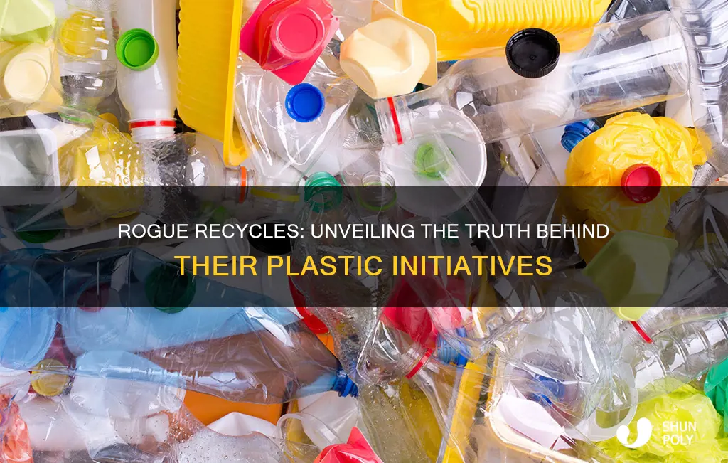 does rogue recycle take 2 plastic