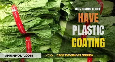 Romaine Lettuce: Plastic Coating or Natural Wax?