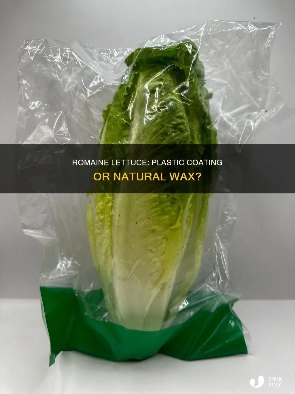does romaine lettuce have plastic coating
