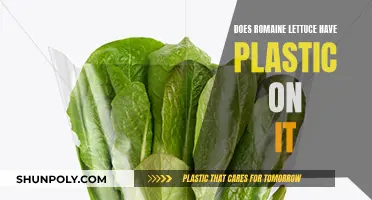 Romaine Lettuce: Plastic-Wrapped or Not?